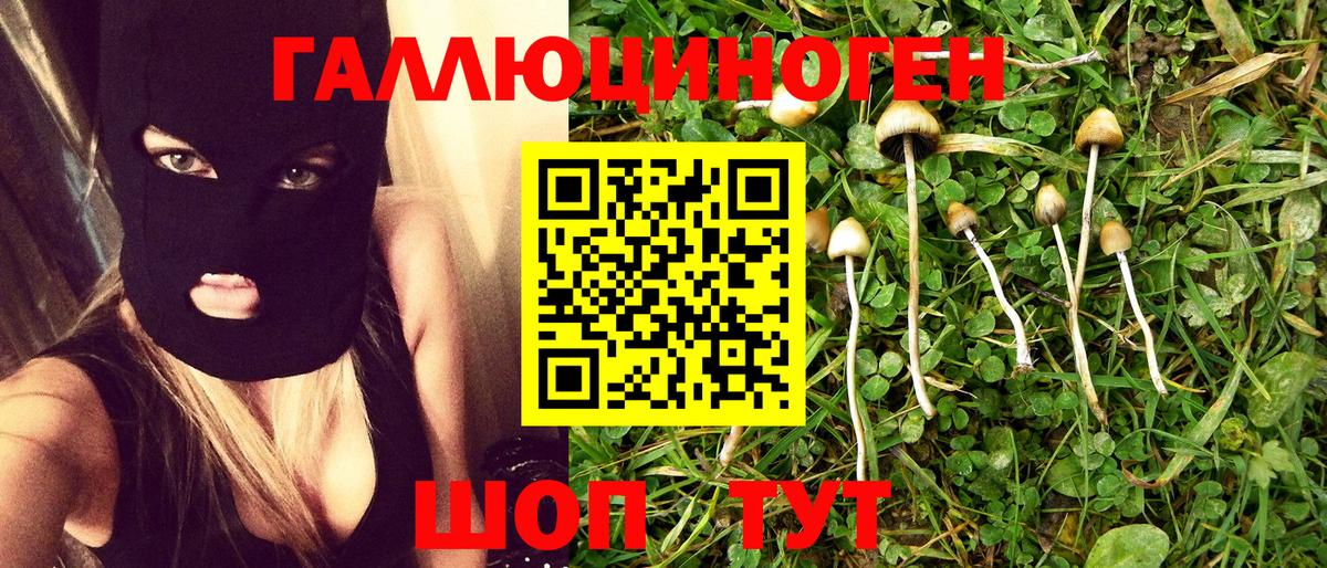 Галлюциногенные грибы Cubensis  Псилоцибиновые грибы Psilocybe  Вход с VPN  Кингисепп 