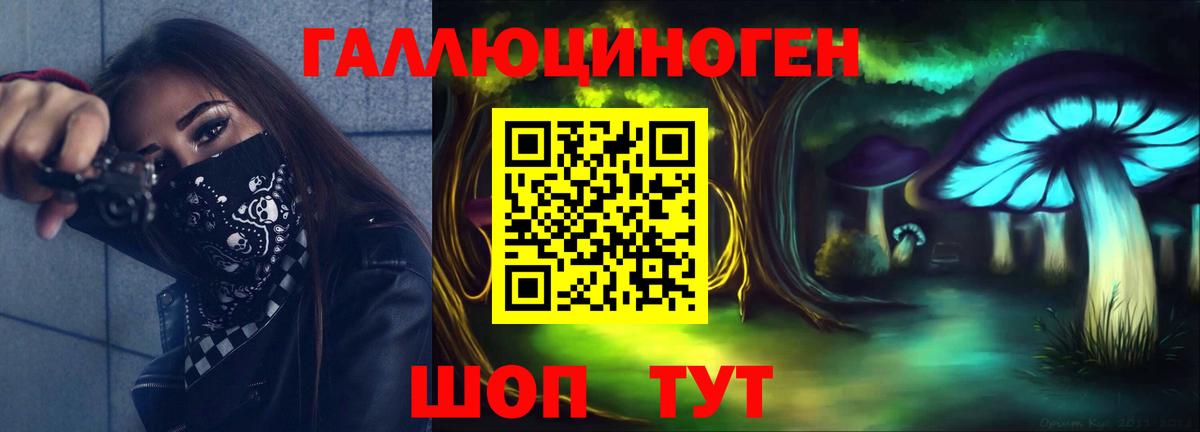 Псилоцибиновые грибы Psilocybine cubensis Кингисепп